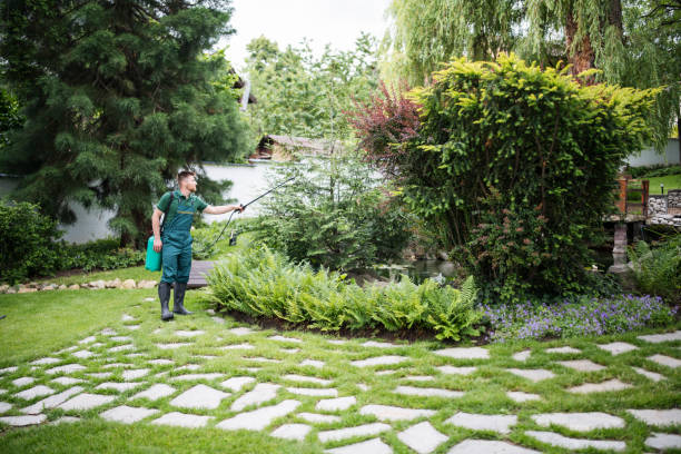 Best Pest Inspection Near Me  in Madison Lake, MN