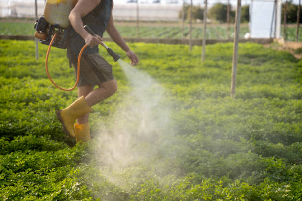 Best Pest Prevention Services  in Madison Lake, MN