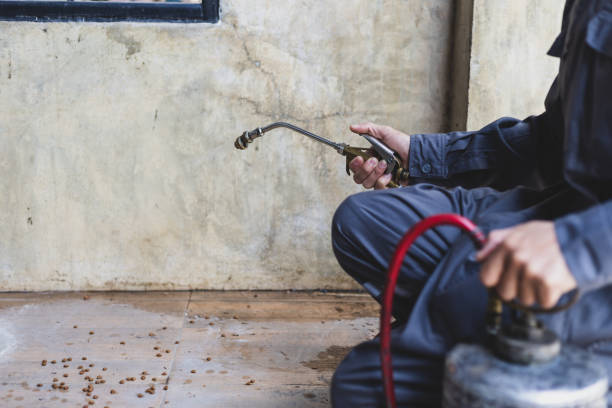 Best Pest Prevention Services  in Madison Lake, MN
