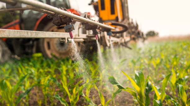 Best Best Pest Control Companies  in Madison Lake, MN